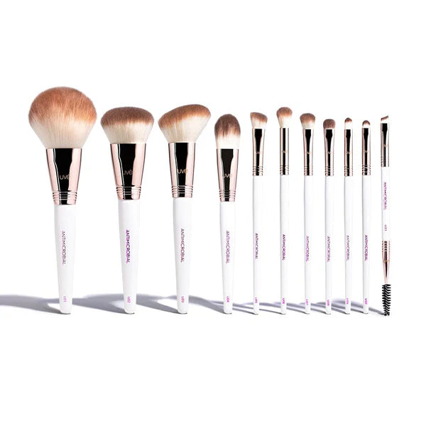 Professional Antimicrobial Brush Set (11)