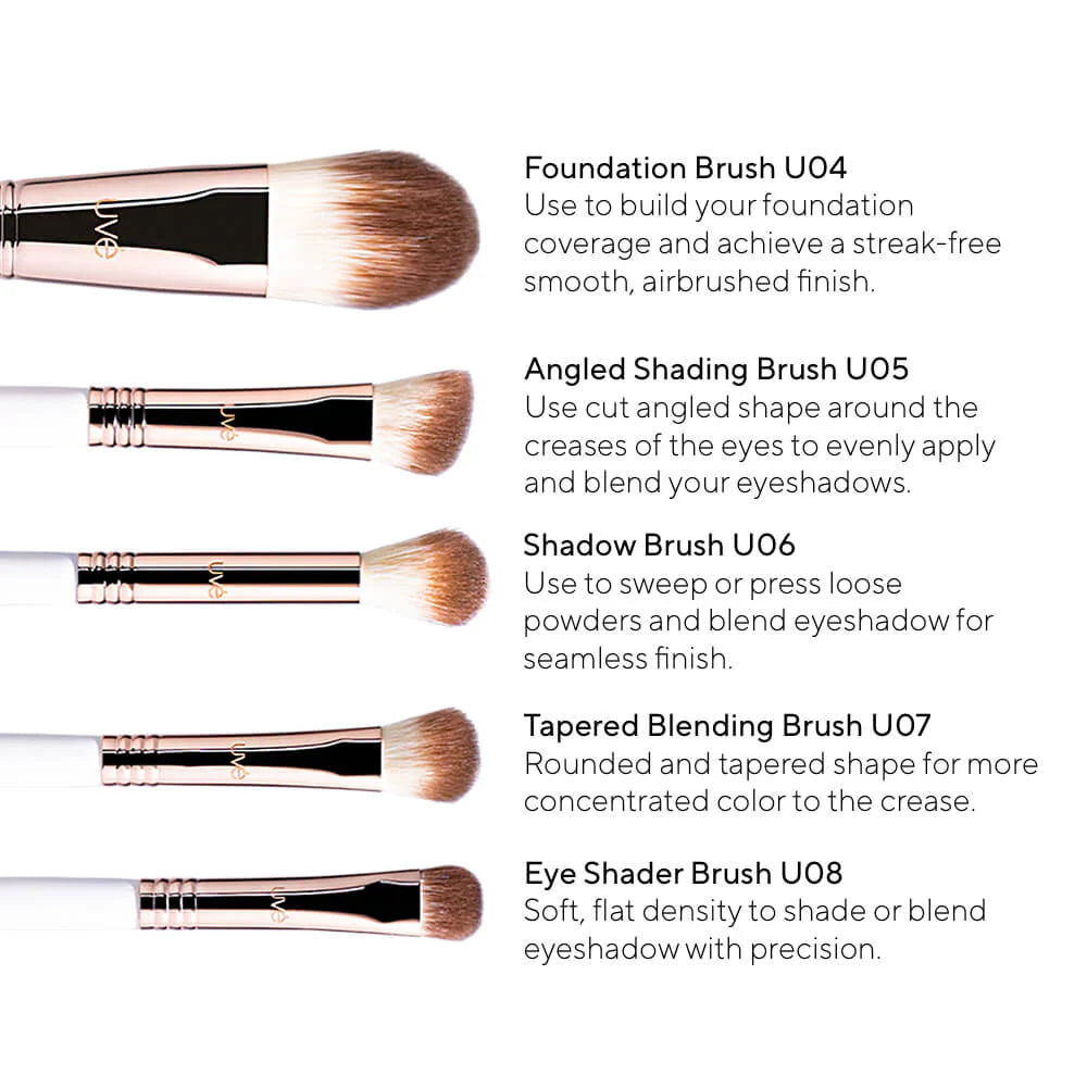 Professional Antimicrobial Brush Set (11)